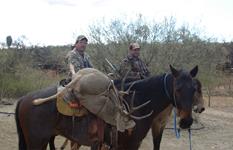 Past Whitetail and Mule Deer Hunting Trips