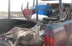 Past Whitetail and Mule Deer Hunting Trips